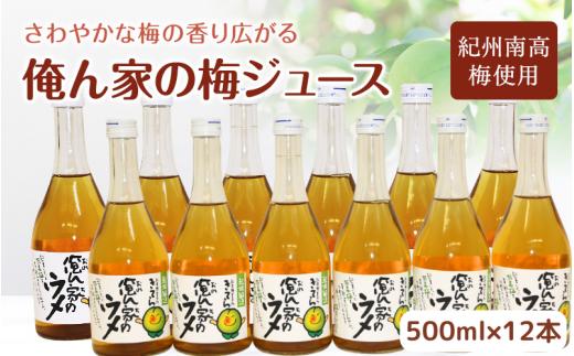 俺ん家の梅ジュース500ml×12本セット / 和歌山 和歌山県産 田辺市 紀州南高梅 南高梅 梅 梅ジュース なつかしい【ktr017-1】
