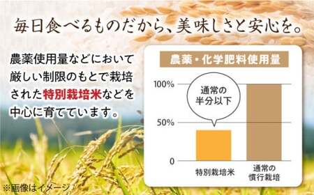 滋賀県産【特別栽培米】羽二重糯（はぶたえもち）3kg　滋賀県長浜市/株式会社ＴＰＦ[AQCQ007] もち米 もち米 もち米 もち米 もち米