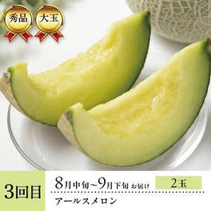 SE0351　【3回定期便】酒田のメロン三昧お楽しみセット2025 (青肉メロン、赤肉メロン、アールスメロン)