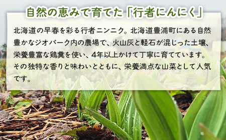 【2026年2月以降順次出荷】北海道豊浦産 行者にんにく 50g×20パック TYUF010 | にんにく