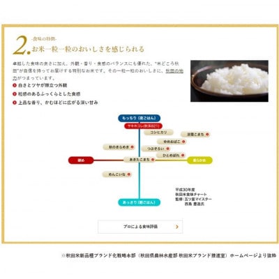 【毎月定期便】秋田県産　サキホコレ　1等　玄米30kg全6回【配送不可地域：離島・沖縄県】