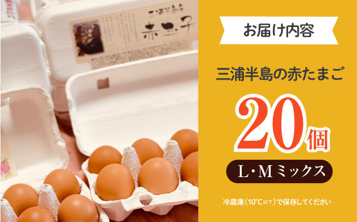 餌にこだわった三浦半島産赤たまご　20個　【横須賀商工会議所　おもてなしギフト事務局（岩沢ポートリー）】 [AKET003]