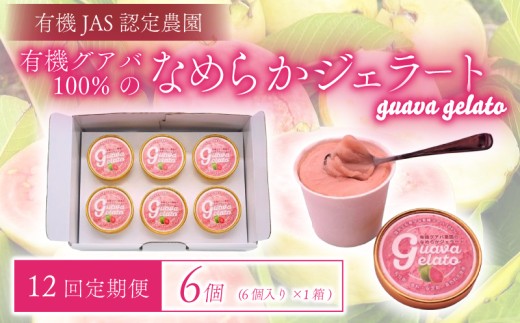 【12回定期便】有機グアバ農園のなめらかジェラート 6個 | 定期便 デザート スイーツ セット お菓子 夏 詰め合わせ ビタミンC おかし 美容 フルーツ グアバ 食品 人気 冷凍 カップ アイス おすすめ 高知県 南国市