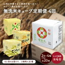 【ふるさと納税】米【定期便】令和6年産 無洗米 キューブ 2合 × 20個 を 4か月 連続 お届け 雪若丸 はえぬき つや姫 コシヒカリ 送料無料 山形県 上山市 0059-2438