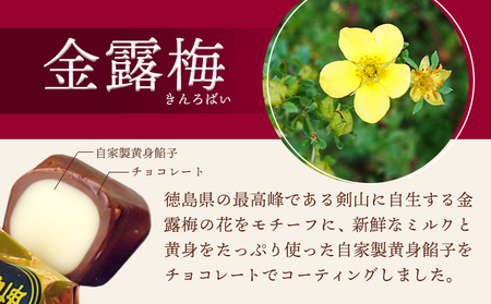 和菓子 黄身餡子 チョコレート 金露梅 15個 