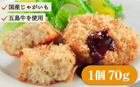 幻の五島牛 コロッケ（10個）＆ハンバーグ（6個）セット 五島市/ニク勝 [PBF006]