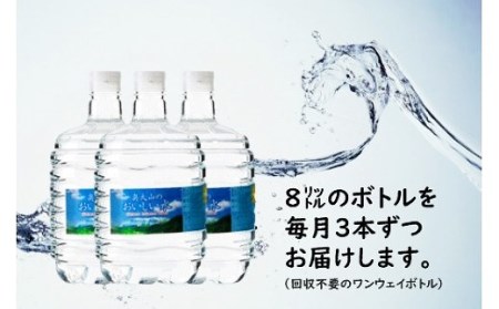 【定期配送2年 計24回 本州エリア用】ウォーターサーバー定期便 奥大山のおいしい水 8L×3本 サーバー無料レンタル付 天然水 0507