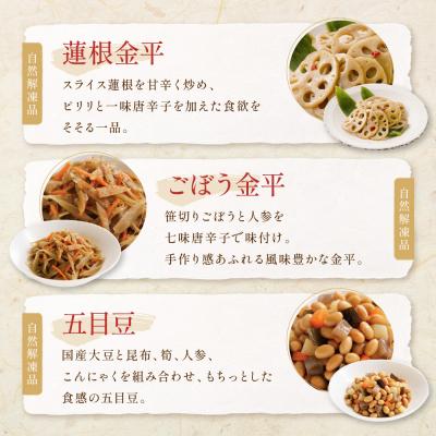 ふるさと納税 京都市 【京菜味のむら】京の食卓おばんざい(10種・10袋)|京都 人気 おばんざい 惣菜 簡単 時短 料理 |  | 02