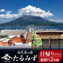 【ふるさと納税】錦江湾で船釣り！海の幸満喫 日帰りプラン(2名様)体験 釣り 船釣り 船釣り体験 アウトドア 日帰り 鹿児島 魚 刺身 レジャー 垂水 九州【古民家の宿たるみず】H8-2402