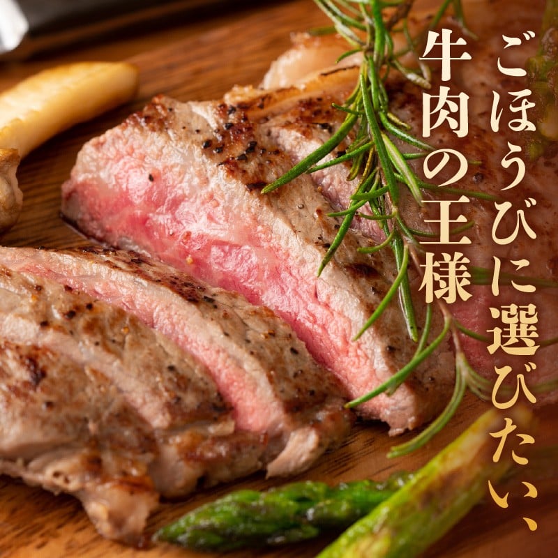 【A4～A5】博多和牛サーロインステーキ 500g