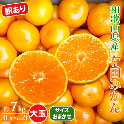 AT6315_【2025年先行予約】ご家庭用　有田みかん 約7kg (2L、3Lサイズ)【湯浅町】