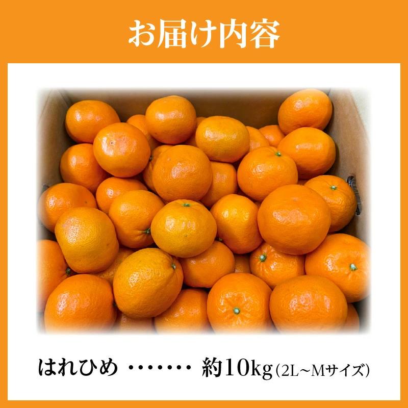 M02-0154_【ふるさと納税】【配送不可地域：北海道・沖縄県・離島】フルーツ デザート 果物 果実 みかん 柑橘 希少 柑橘 はれひめ 約10kg お土産 ギフト 生産量 オレンジ 内皮ごと フル