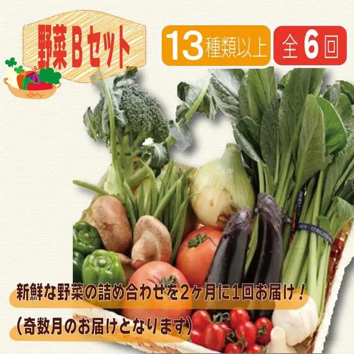 野菜セット【定期便 / 全6回：奇数月お届け】旬の新鮮野菜B（たっぷり13種類以上）