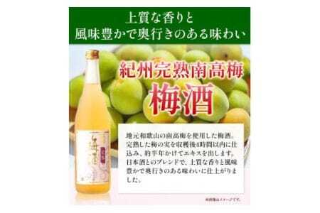 梅酒 紀州完熟南高梅 梅酒 1.8L 酒のねごろっく《90日以内に出荷予定(土日祝除く)》梅酒梅酒