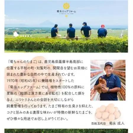 菊ちゃんのたまごスープセット(卵40個・スープ10個)【配送不可地域：離島】【1186106】