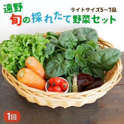 ふるさと納税 遠野市 旬のとれたて野菜セット(5~7品)ライトサイズ【こんたでぃーの遠野】