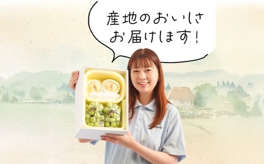 詰合 ／ 白桃 （1玉220g以上）2玉 ・ シャインマスカット 晴王（1房480g以上）2房 化粧箱入り 【2026年7月下旬～8月上旬迄発送予定】／ 桃 もも マスカット 葡萄 ぶどう 果物 果実