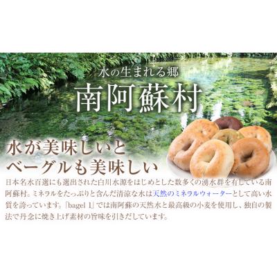 ふるさと納税 南阿蘇村 ベーグルセット 7種 10個入 ベーグル・ワン《30日以内に出荷予定(土日祝除く)》 |  | 01