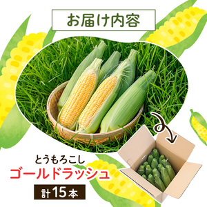 とうもろこし ゴールドラッシュ(15本) 国産 旬 野菜 青果 トウモロコシ 期間限定【笹原正樹】akn094-01