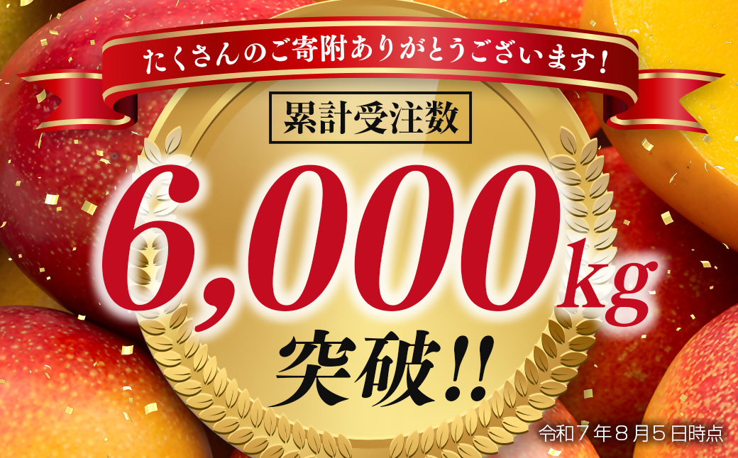 【先行予約】「訳あり」ご家庭用完熟マンゴー2kg（4玉～8玉）宮崎県西都市産＜2-95＞2026年発送 果物 くだもの フルーツ 宮崎県西都市