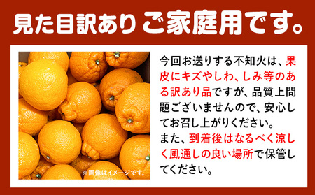 【先行予約】【ご家庭用】紀州有田産 不知火 ( しらぬひ )  約3kg 株式会社魚鶴 《2月中旬-3月中旬頃出荷》 和歌山県 日高川町 不知火 みかん 柑橘 果物 フルーツ デコポン と同品種 でこ