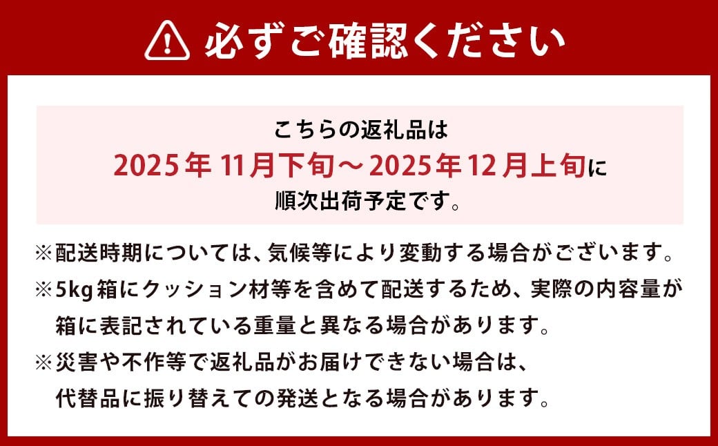 【先行予約】やまんどん 富有柿 15玉から20玉