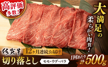 【12回定期便】 佐賀牛 切り落とし 500g 総計 6.0kg【桑原畜産】 [NAB034] 牛肉 切り落とし 牛肉切り落とし 牛肉切り落とし 切り落とし 切り落とし 切り落とし