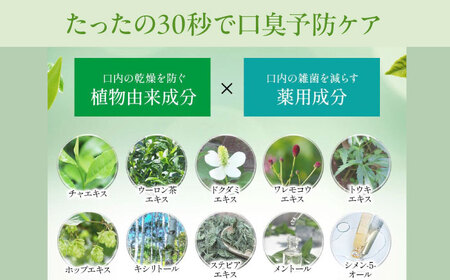 歯磨き粉 【全12回定期便】 マウスウォッシュ 3本(各300ml) 歯磨き粉[AGCQ036]