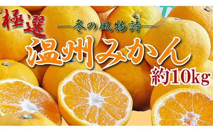 【ふるさと納税】 先行予約 極撰 みかん 温州みかん 約10kg 蜜柑 柑橘 果物 フルーツ デザート ふるさと納税柑橘 スイーツ ゼリー アイス シャーベット ジェラート 贈答 ギフト プレゼント 旬 ふるさと納税みかん ふるさと納税 送料無料 発送:2025年11月上旬より順次発送