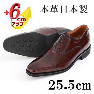 ふるさと納税 大和郡山市 牛革内羽根ストレートチップ 6cmアップシークレットシューズ No.1301 ワイン 25.5cm