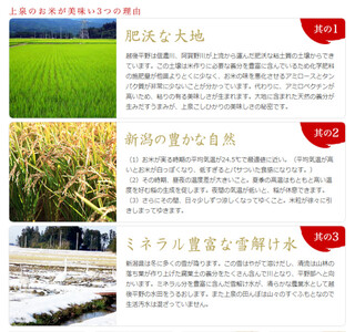 【令和7年産新米予約】【3ヶ月定期便】 旧笹神村産 コシヒカリ 3kg×3回 合計9kg 白米 上泉 農家直送 コメドック 金賞 10月中旬より順次発送予定  1Q14041