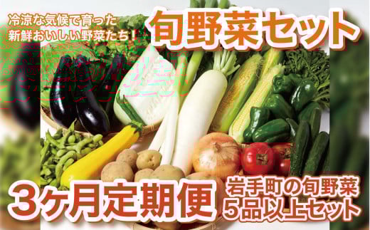 岩手町産の旬野菜セット（5品以上）3ヶ月定期便