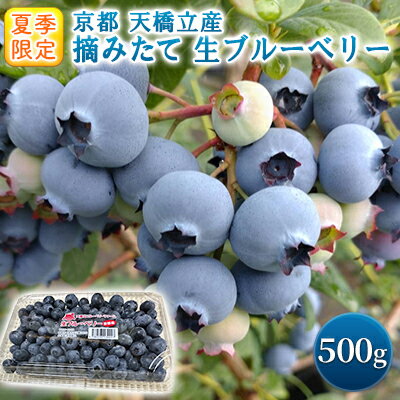 【ふるさと納税】【ふるさと納税】令和7年夏季予約販売 摘みたて 生ブルーベリー 500g 〈お届け：2025年6月上旬～8月末まで 〉フルーツ ブルーベリー　お届け：2026年6月下旬～8月末まで