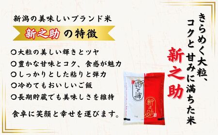 【令和8年産新米予約】新之助 1kg 早川の清流が育んだ美味しいお米 新潟県糸魚川産 2026年 磯貝農場【しんのすけ 米 お米 こめ ご飯 ライス ふるさと納税米 食品 人気 おすすめ お弁当 おに