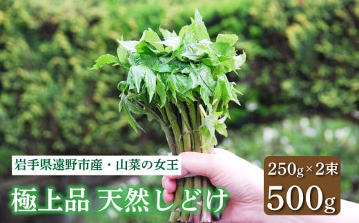 しどけ 天然 極上品 250g×2束 計500g 岩手県 遠野市 産 シドケ 山菜 田村りんご店 期間限定 数量限定 【 先行予約 2026年5月上旬発送予定】