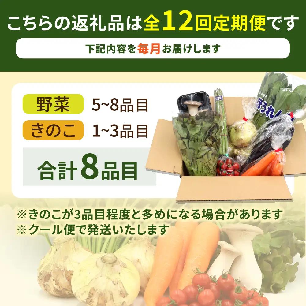 【12回定期便】野菜定期便 8品目 [SCZ030]