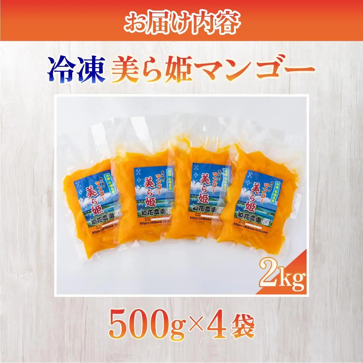 冷凍美ら姫マンゴー 2kg（500g×4袋）CB-4