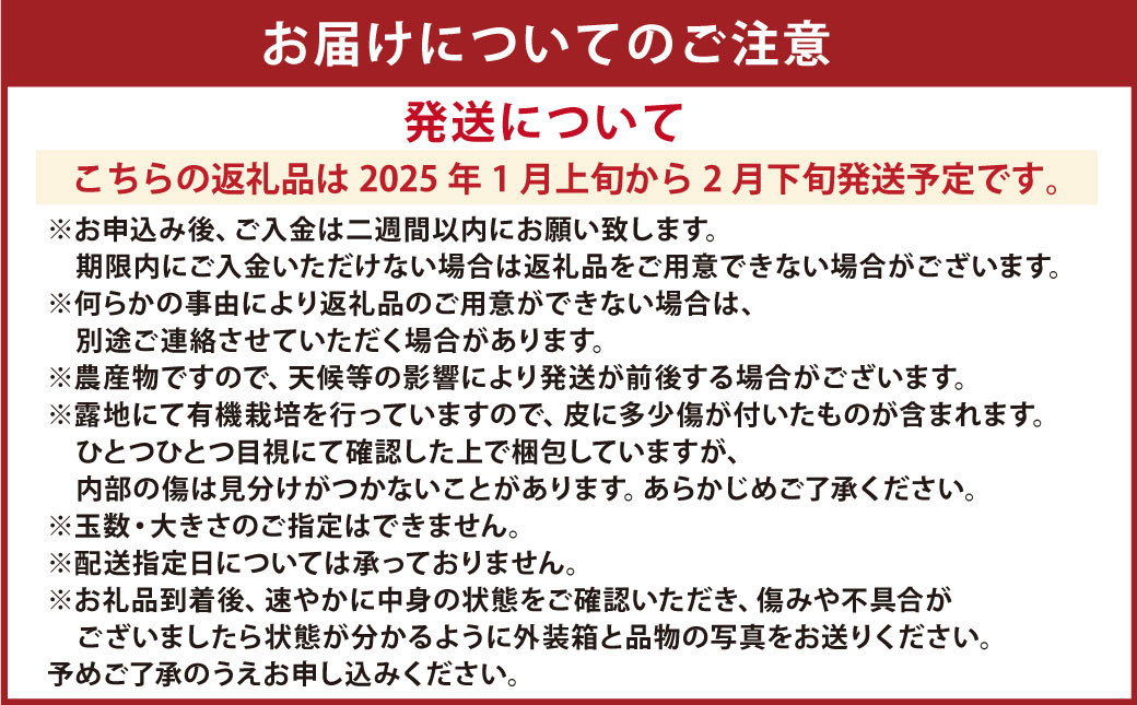 特別栽培 ポンカン 10kg サイズ ミックス 柑橘