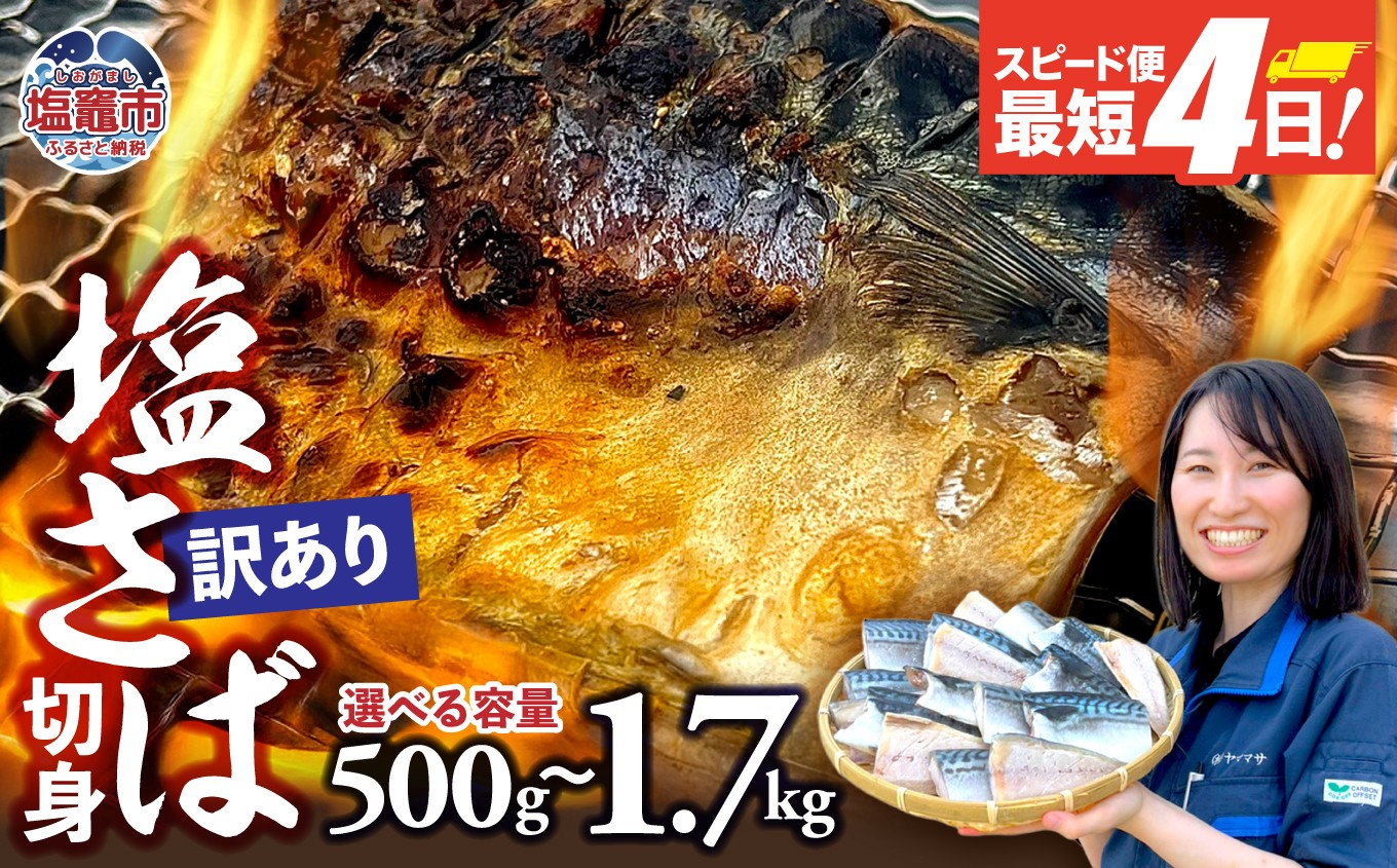 
            訳あり 安心無添加 塩さば切り身 深層海塩仕込み 選べる容量〈500g/1kg/1.3kg/1.7kg〉 | 無添加 こだわり サバ さば とろさば トロサバ 塩サバ 切り身 焼魚 鯖 海塩 おつまみ おかず 万能 塩竈市 塩釜 ヤママサ ym00013
          