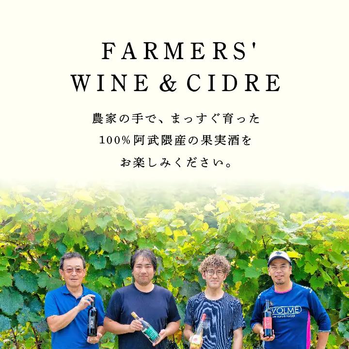 ワイン シードルミニ瓶セット（ふじりんご2本／つがるりんご1本）250ml×3本【ふくしま農家の夢ワイン株式会社】