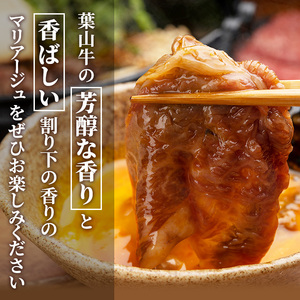 葉山牛ロースすき焼き霜降り冨士屋牛肉店葉山牛【500g】【冷凍】