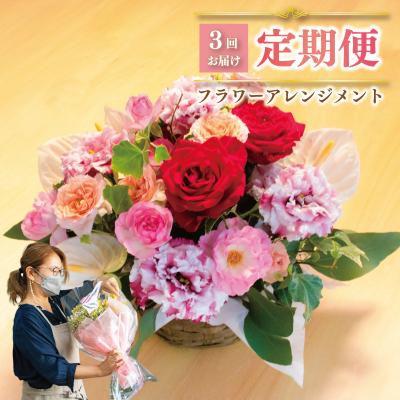 ふるさと納税 下関市 お花の定期便 (バスケット) 毎月1回×3回分 GI001