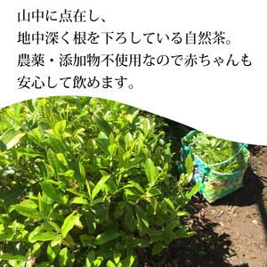 海部いはら番茶 ティーバッグ 2g×15P×3袋  からだにやさしいお茶