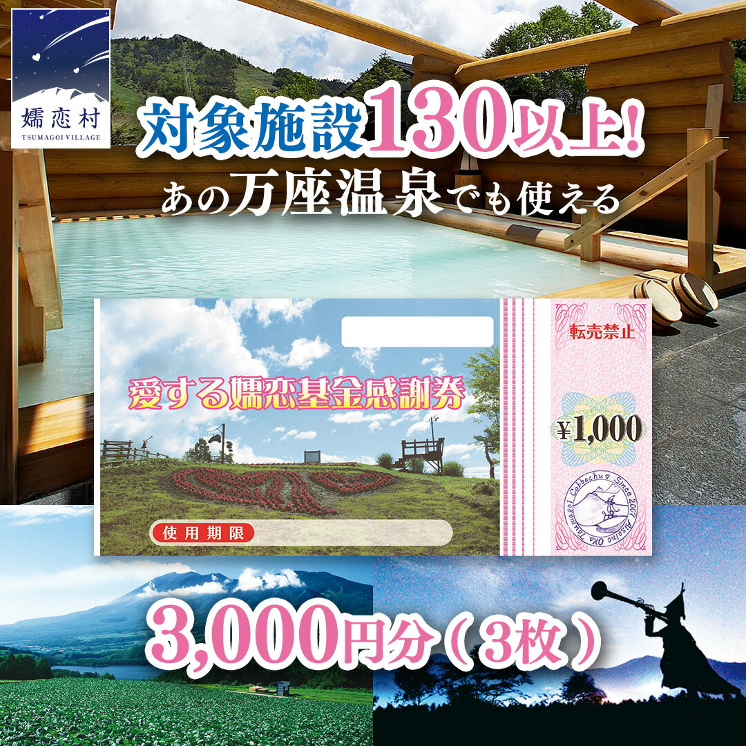 【ふるさと納税】＼12/23入金確認分まで 年内発送 ／ 嬬恋村 で使える 感謝券 3000円 分 温泉総選挙 万座温泉 万座 鹿沢温泉 観光 旅行券 宿泊券 宿泊補助券 旅行 温泉 温泉 ペンション ホテル 旅館 トラベル 父の日 母の日 敬老の日 浅間高原 鹿沢 バラギ 北軽井沢