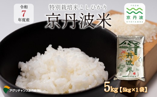 特別栽培米 こしひかり 京丹波町産 5kg 令和7年産米 精米 お米 京都 丹波 コシヒカリ 特A獲得 農家直送 ※北海道・沖縄・その他離島は配送不可 [012AGC001]