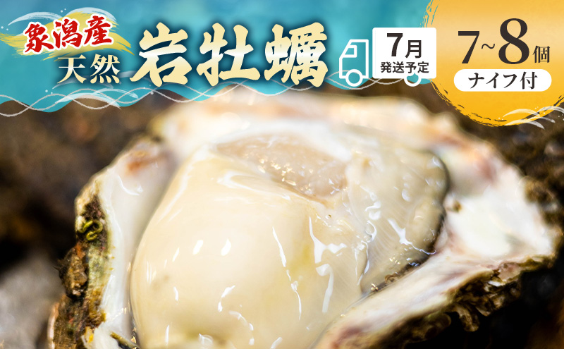 象潟産 天然岩牡蠣 7～8個 ナイフ付【 牡蠣 夏牡蠣 かき 象潟 生食可 魚介類 海鮮 海産物 海の幸 】 佐藤鮮魚店