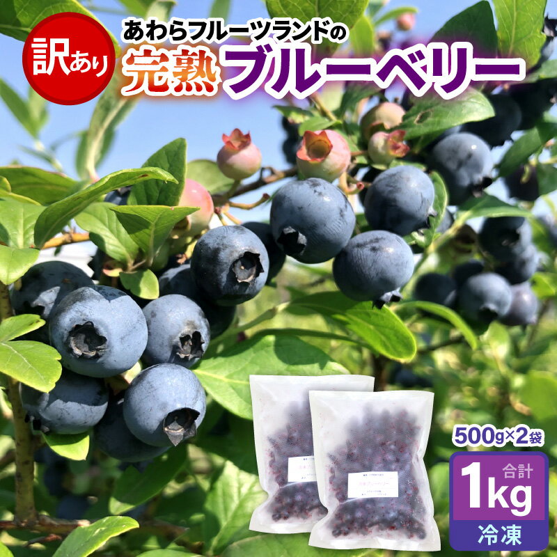 【ふるさと納税】【訳あり】【冷凍】あわらフルーツランドのブルーベリー たっぷり 1kg 便利な500g×2袋 【完熟】 / フルーツ 果物 くだもの 冷凍 1kg 小分け 完熟 ご当地 国産 おすすめ