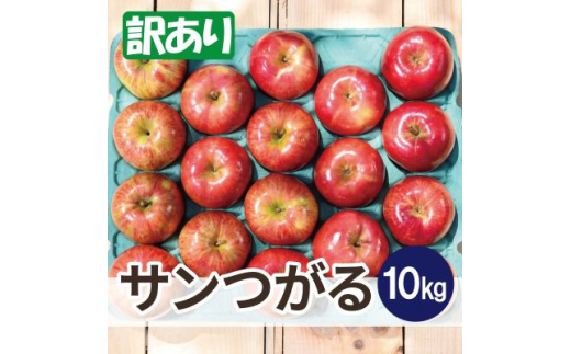 ＜25年9月より順次発送＞平均糖度12度以上! サンつがる 約10kg 訳あり  クール便【1611773】