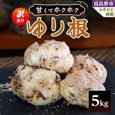 ふるさと納税 富良野市 2025年先行予約【訳あり】北海道富良野産 ゆり根 5kg
