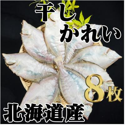 ふるさと納税 古平町 北海道産　干しかれい(中)一夜干し8枚